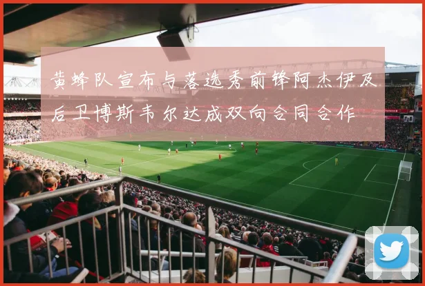 黄蜂队宣布与落选秀前锋阿杰伊及后卫博斯韦尔达成双向合同合作