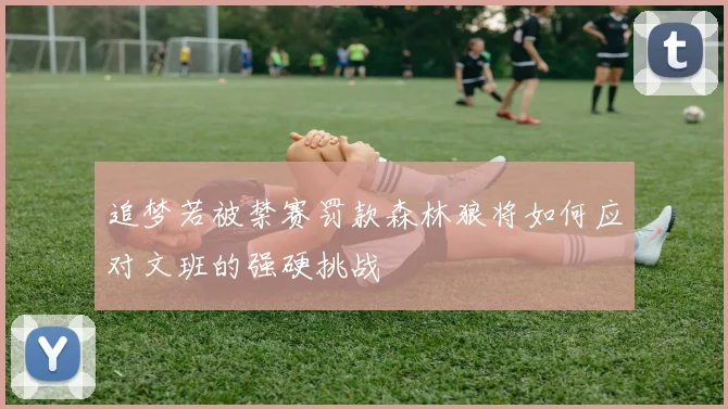 追梦若被禁赛罚款森林狼将如何应对文班的强硬挑战
